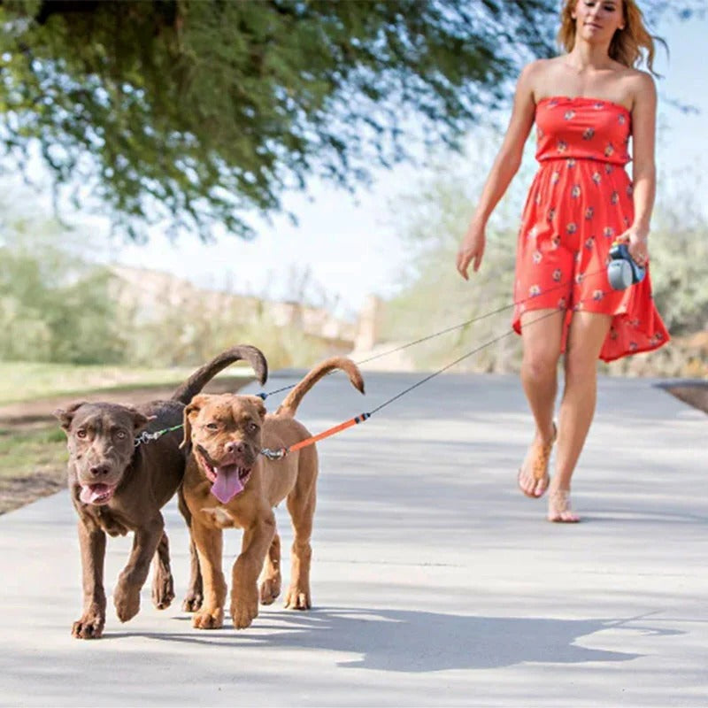 Dual Dog Leash with Flashlight & Waste Bag