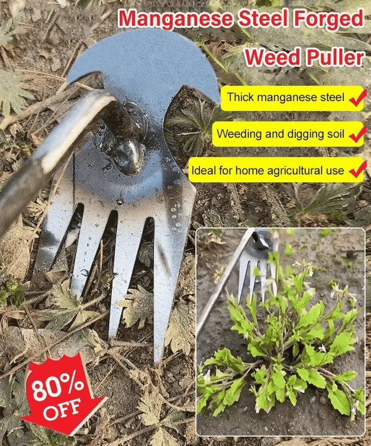 Long Handle Weeder with Precision Claw Head and Cushioned Grip
