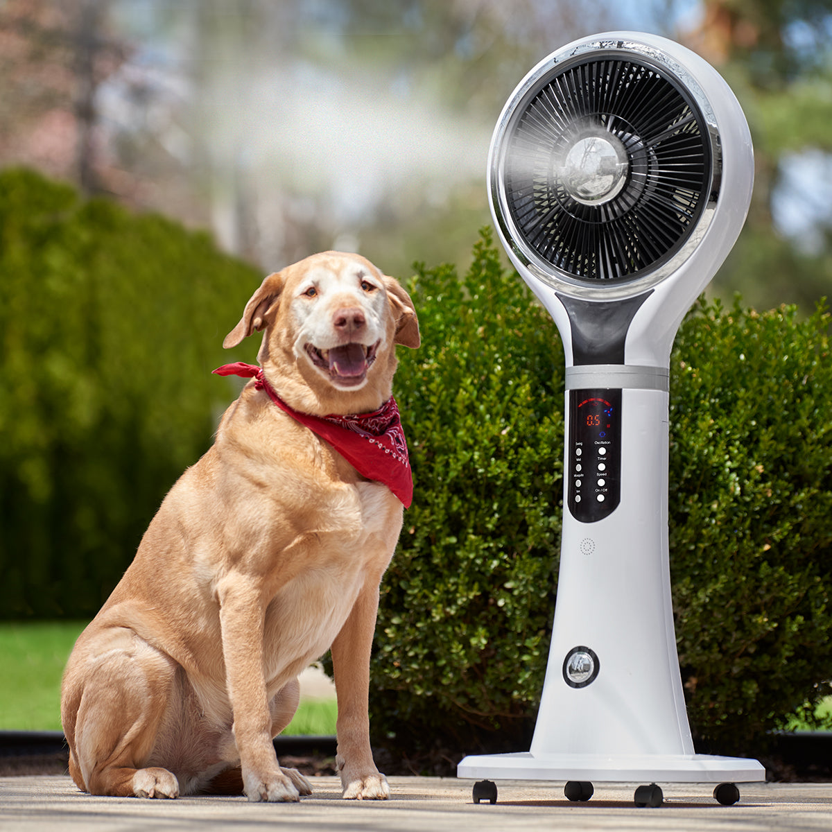 Portable Evaporative Cooler