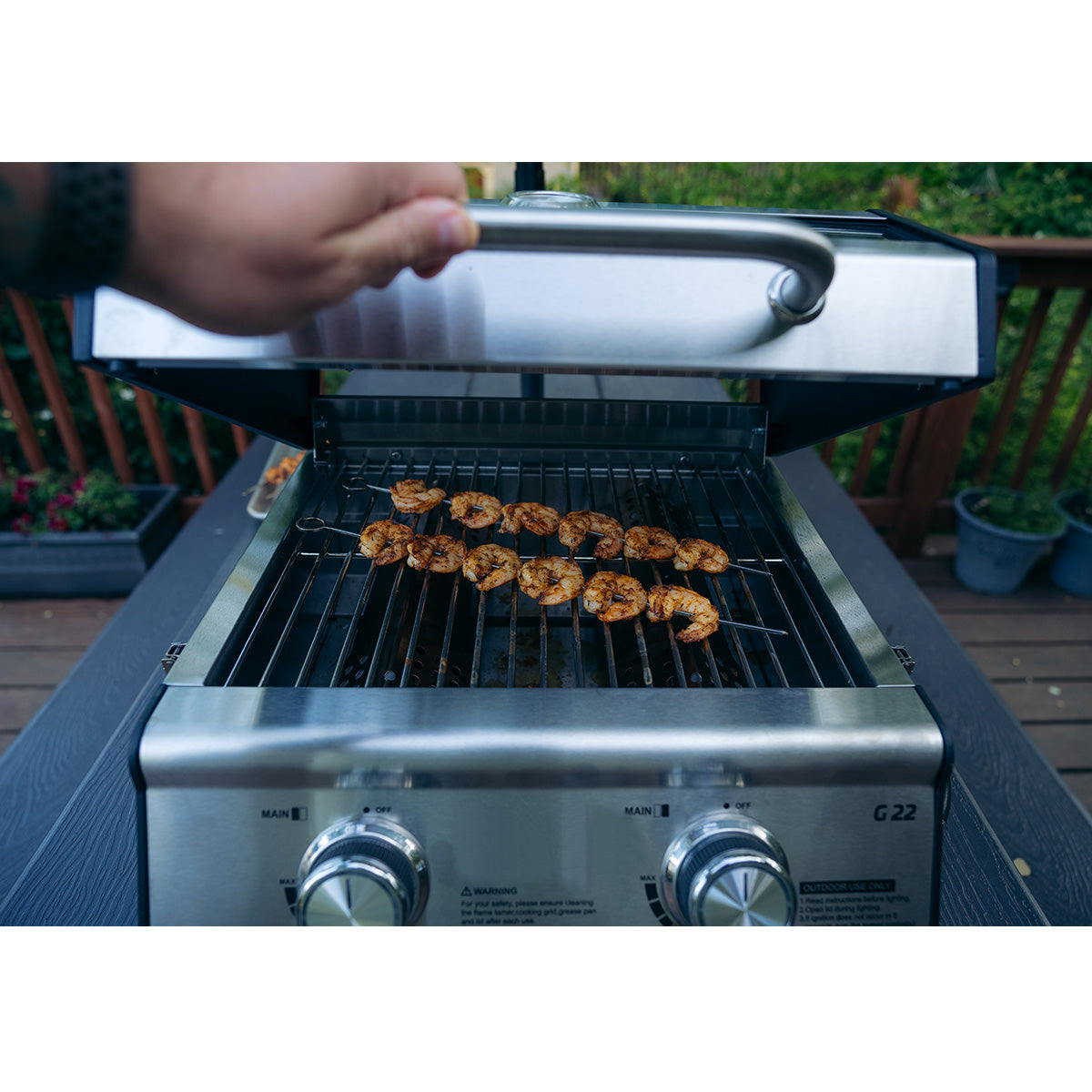 Tabletop Propane Gas Grill
