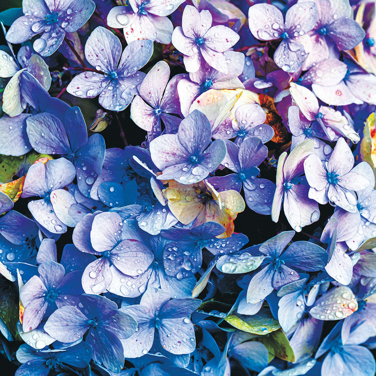 Floral Puzzles