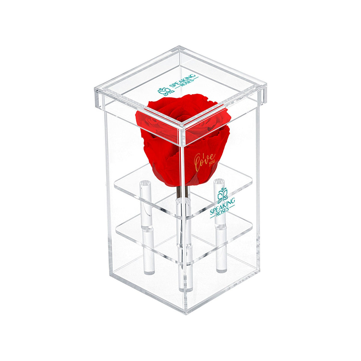 Single Stem Preserved Rose