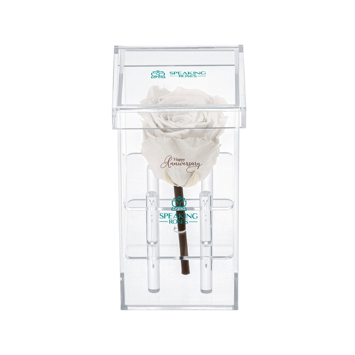Single Stem Preserved Rose