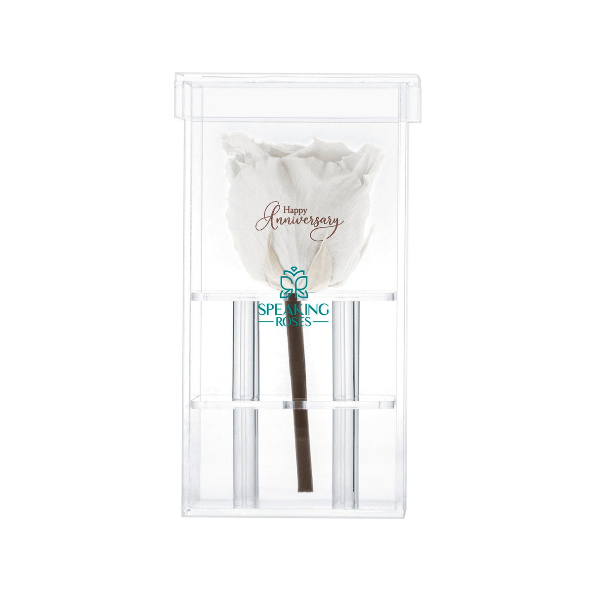 Single Stem Preserved Rose