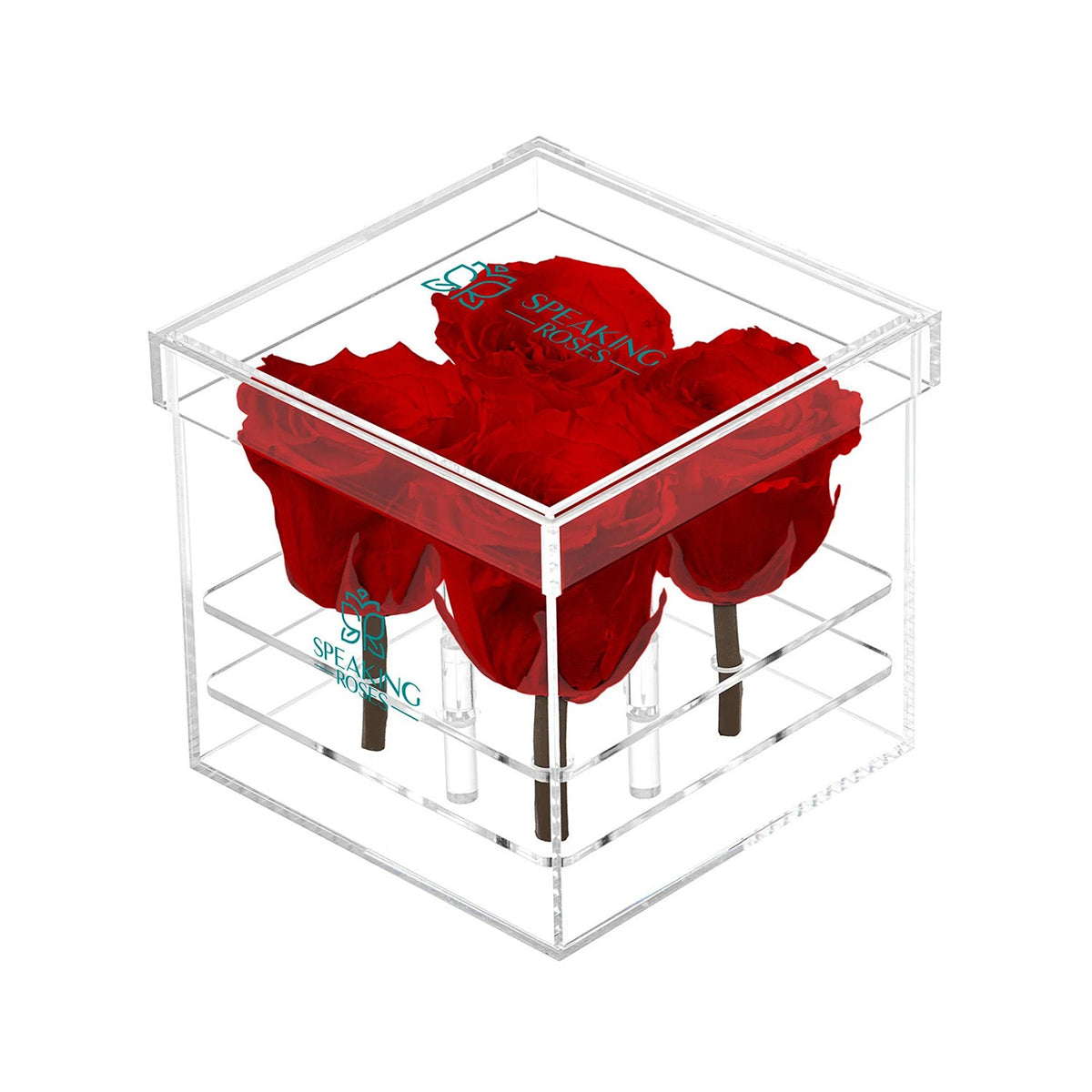 Preserved Roses (4 Stems)