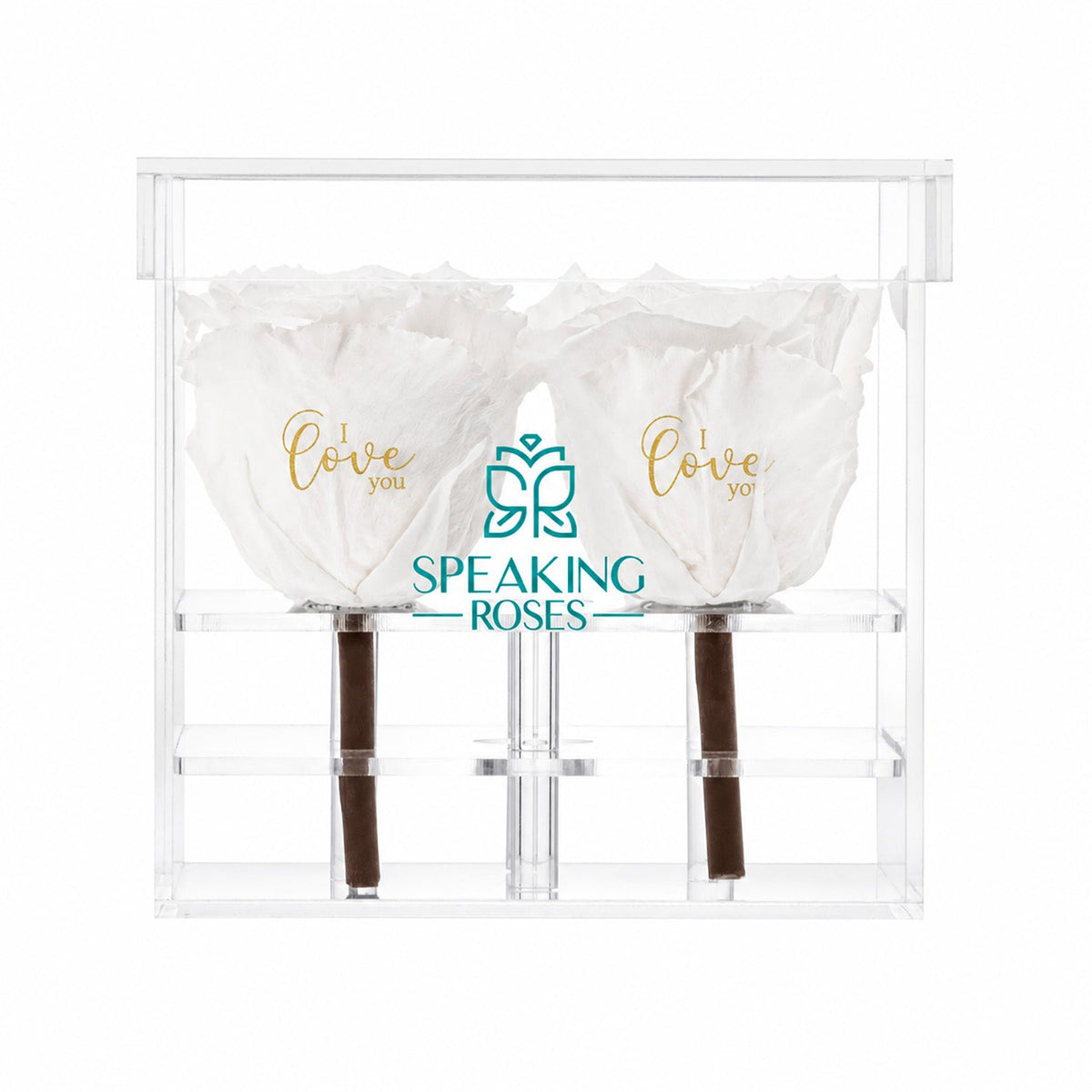 Preserved Roses (4 Stems)