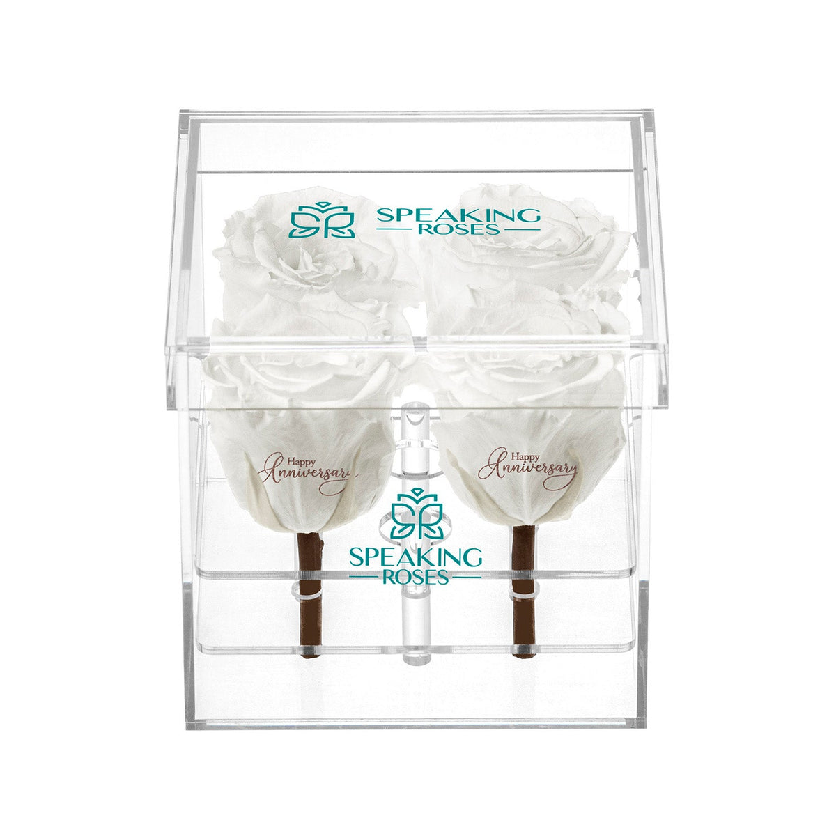 Preserved Roses (4 Stems)