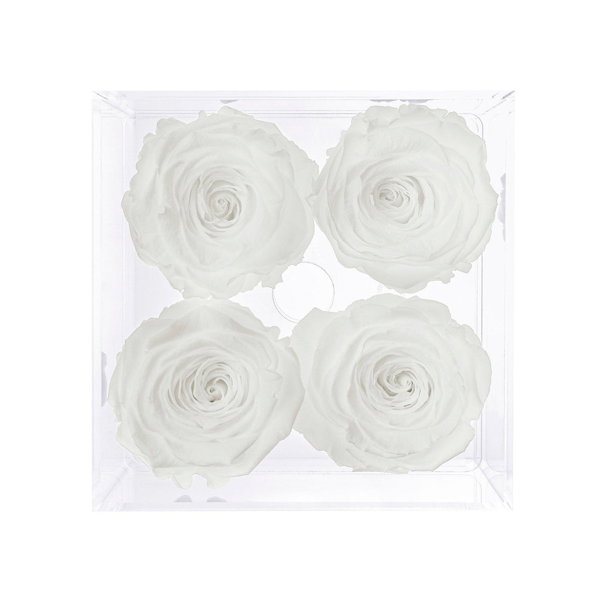 Preserved Roses (4 Stems)