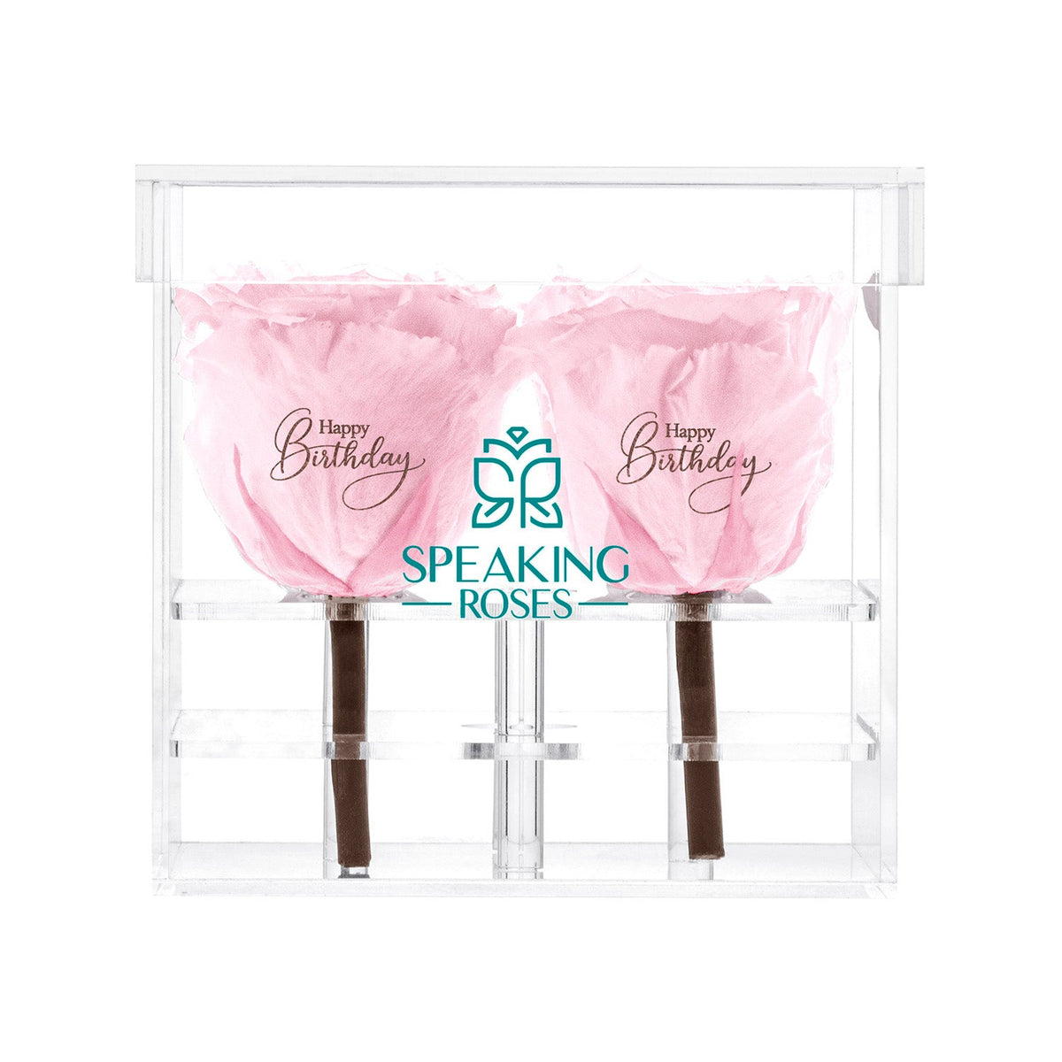 Preserved Roses (4 Stems)