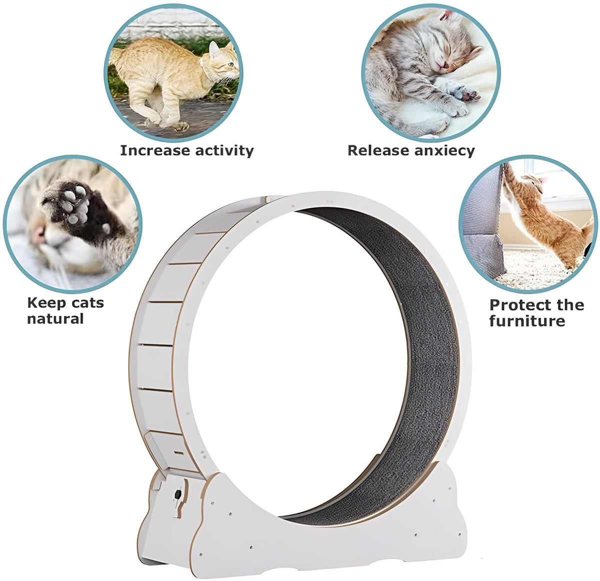 Cat Exercise Wheel