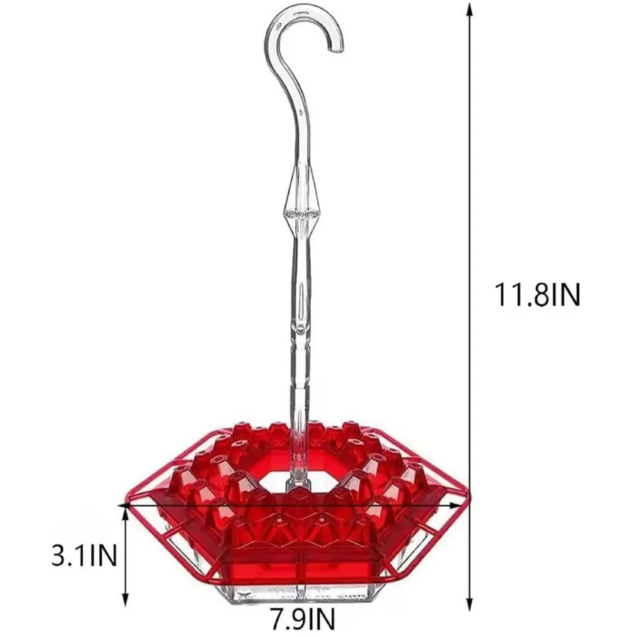 Hummingbird Feeder with Ant Proof Hanging Perch
