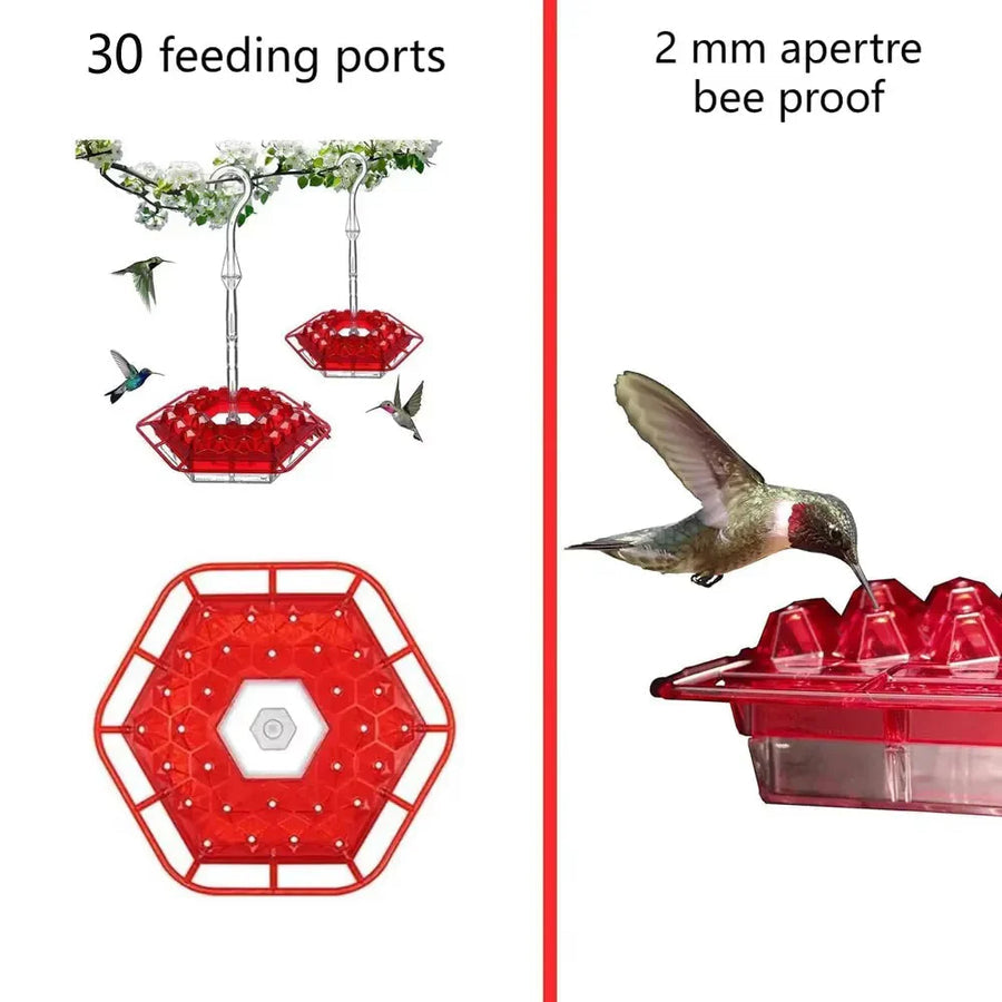 Hummingbird Feeder with Ant Proof Hanging Perch