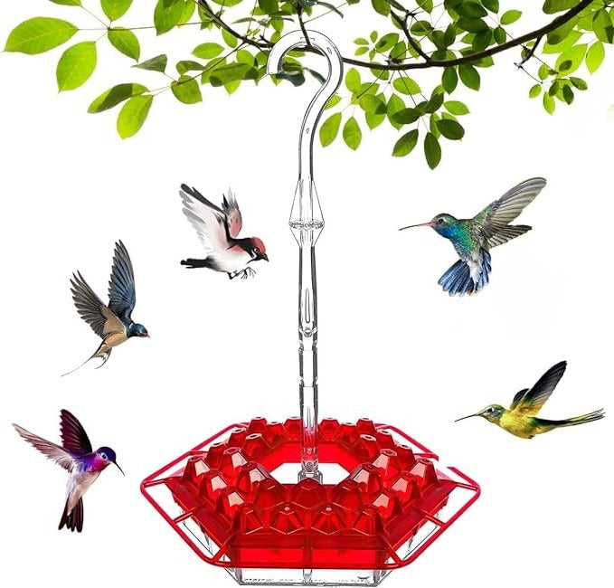 Hummingbird Feeder with Ant Proof Hanging Perch