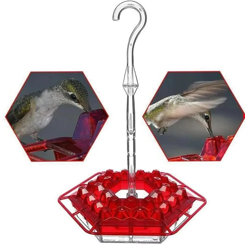 Hummingbird Feeder with Ant Proof Hanging Perch