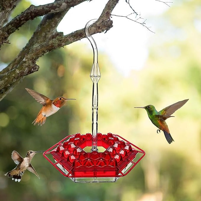 Hummingbird Feeder with Ant Proof Hanging Perch