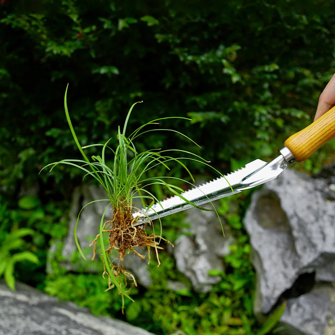 5-in-1 Stainless Steel Weed Puller Tool with Beech Handle