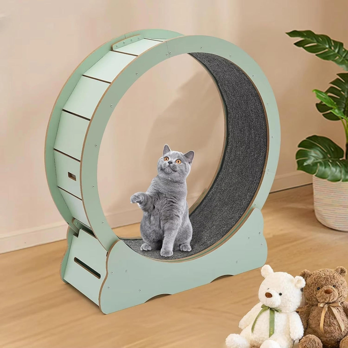 Cat Exercise Wheel