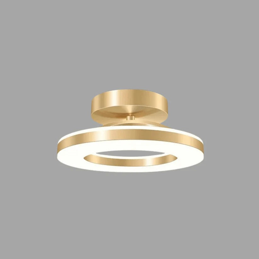 LED Ceiling Light Fixture