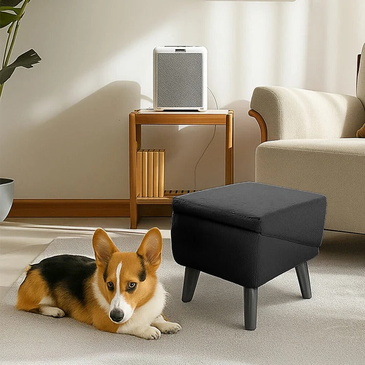 2-in-1 Convertible Dog Ramp and Step Stool