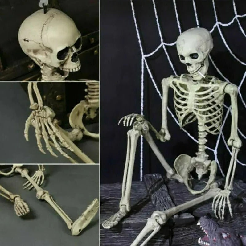 Poseable Skeleton - Creepy Halloween Skeleton Decorations