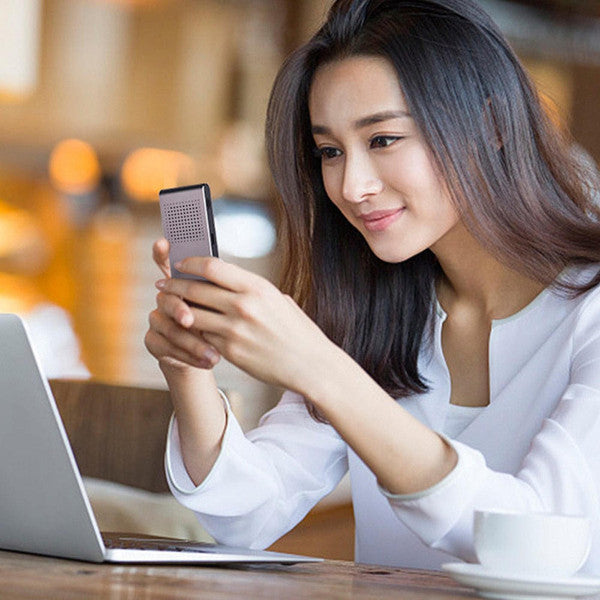 Portable Voice Translator