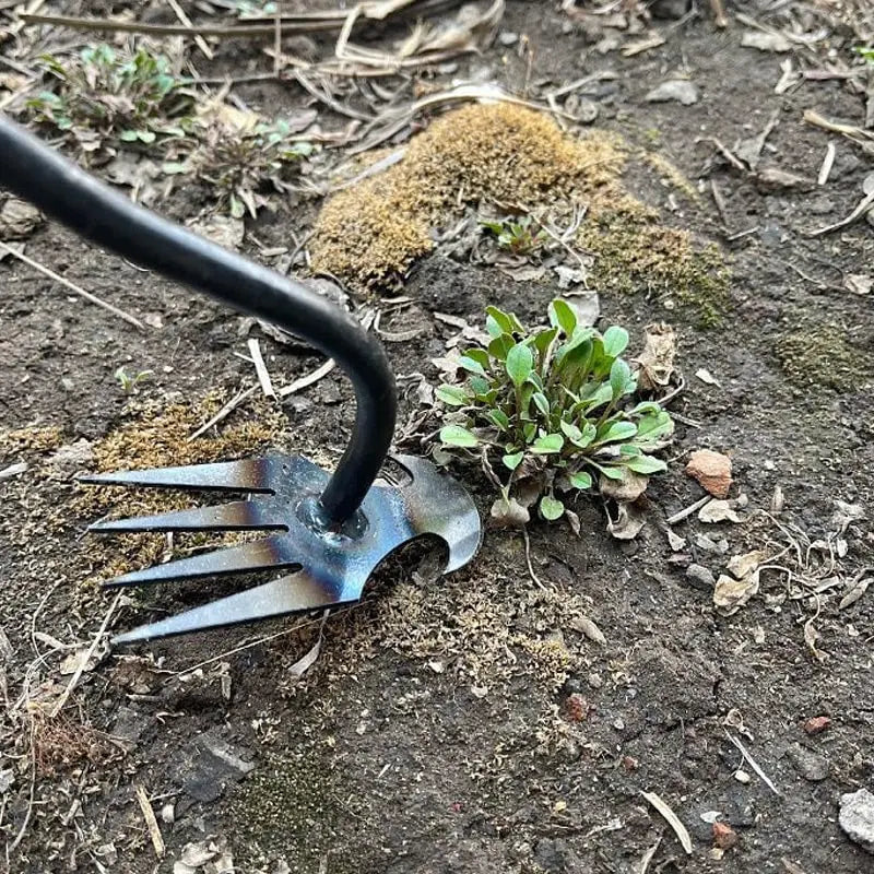 Long Handle Weeder with Precision Claw Head and Cushioned Grip