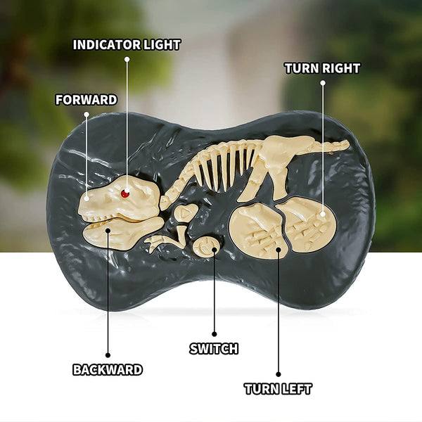 Remote Control Walking Velociraptor Toy