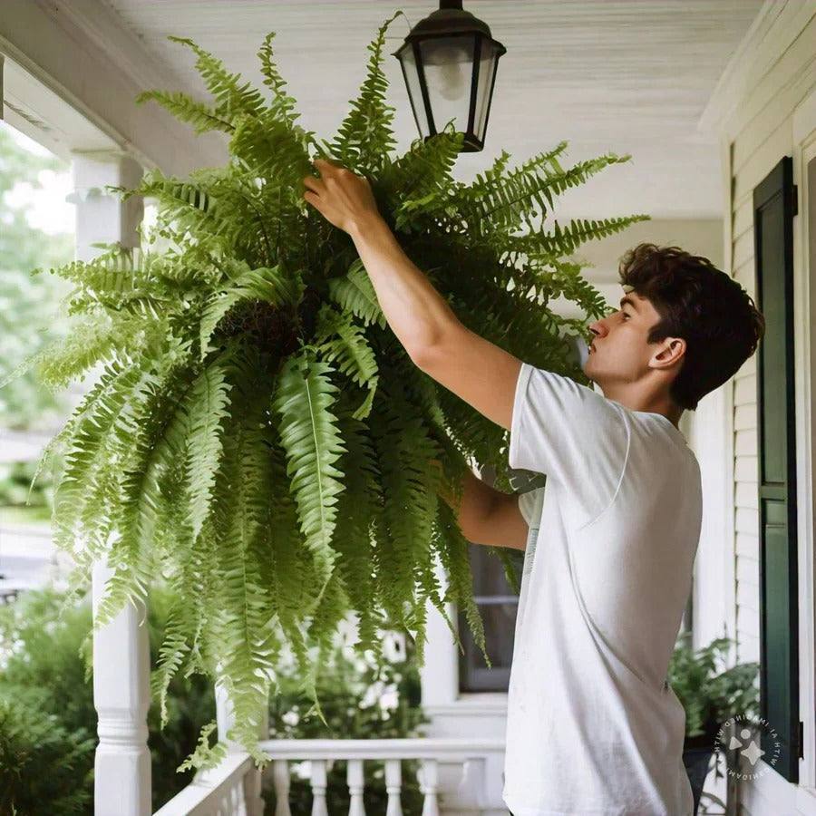 Artificial Boston Fern UV Resistant Outdoor Plant