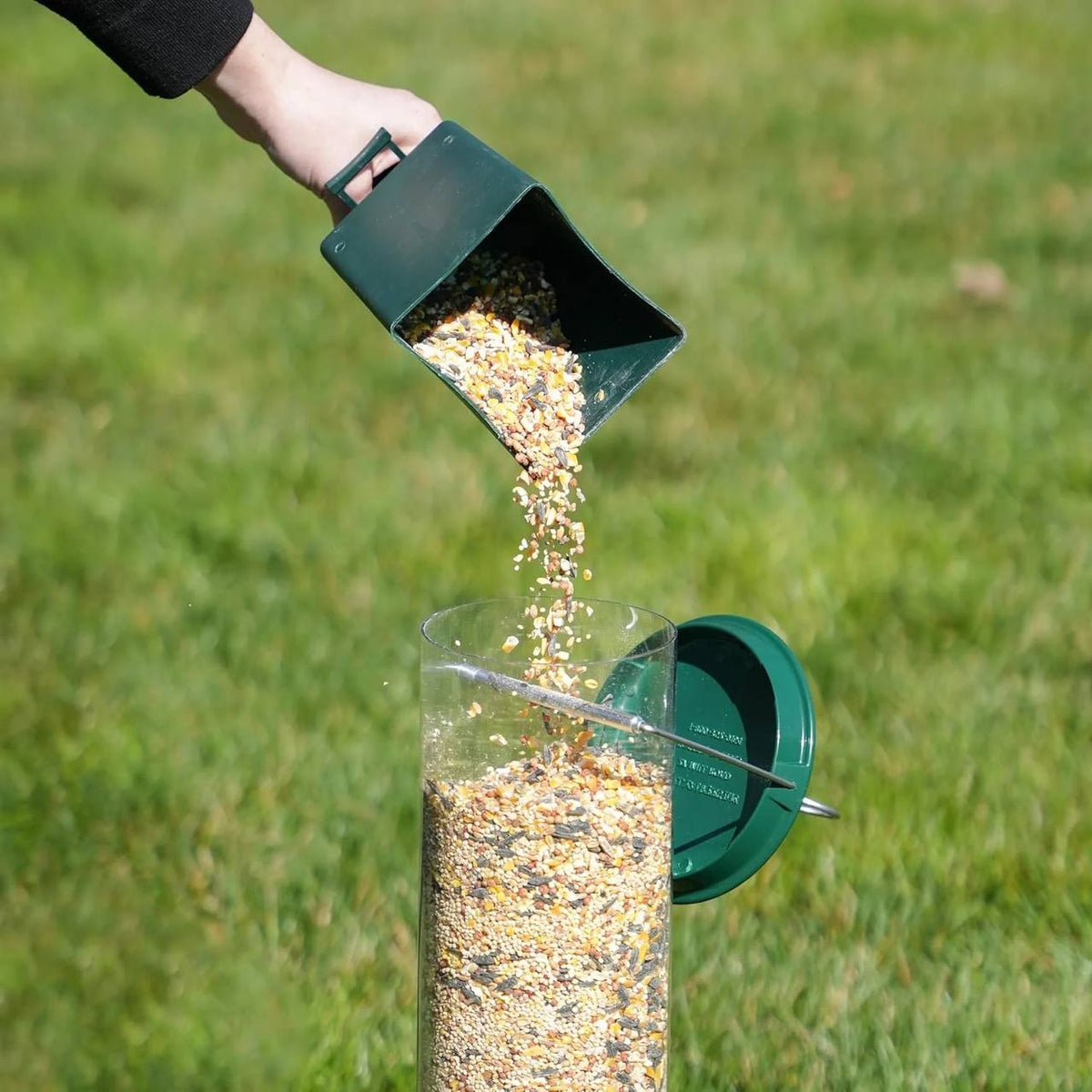 Squirrel Proof Bird Feeder Hanging Mount