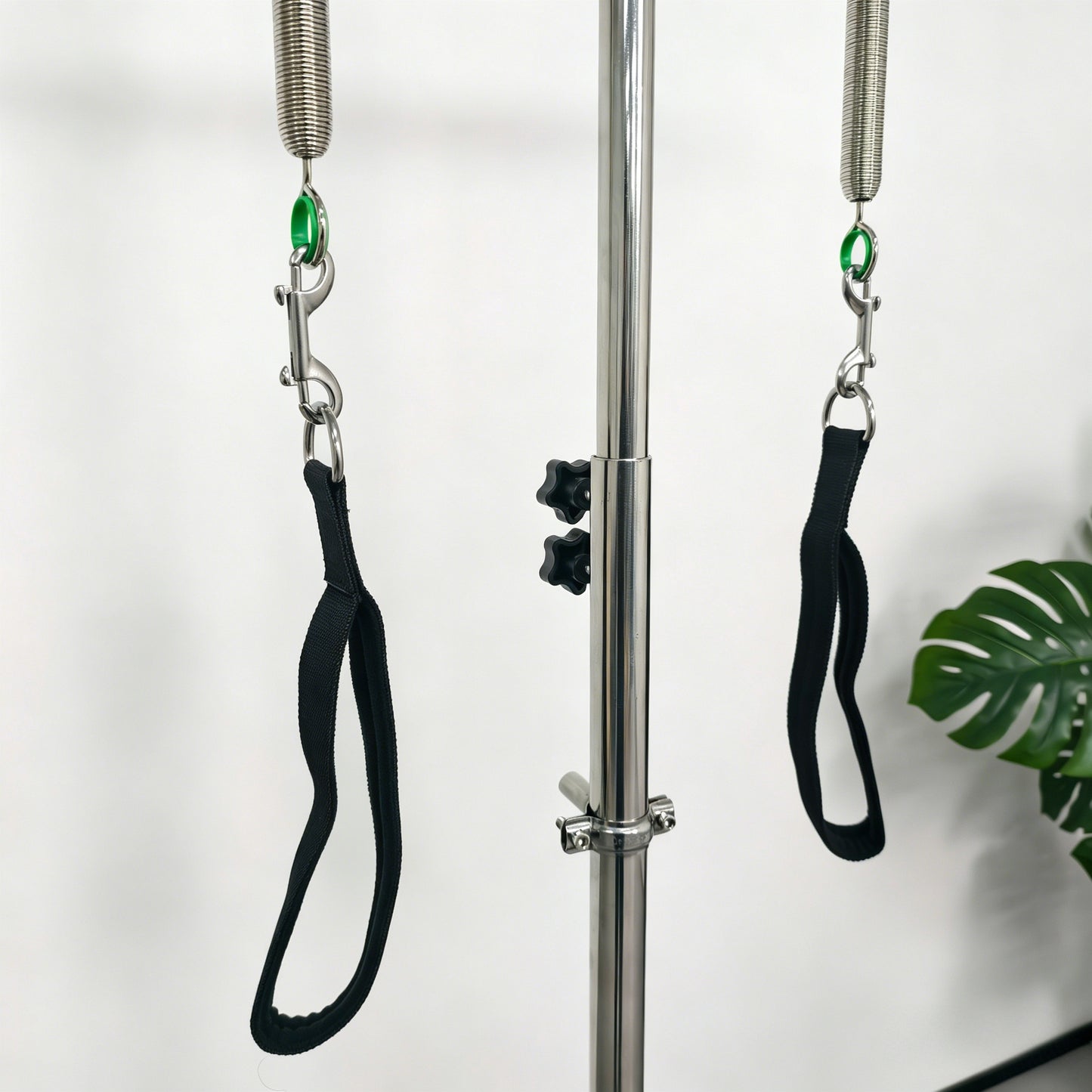 Reformesa Pilates Pedi Pole – Posture & Balance Trainer