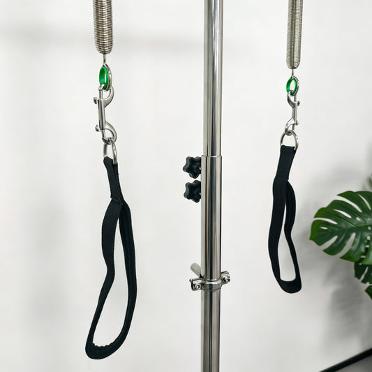 Reformesa Pilates Pedi Pole – Posture & Balance Trainer