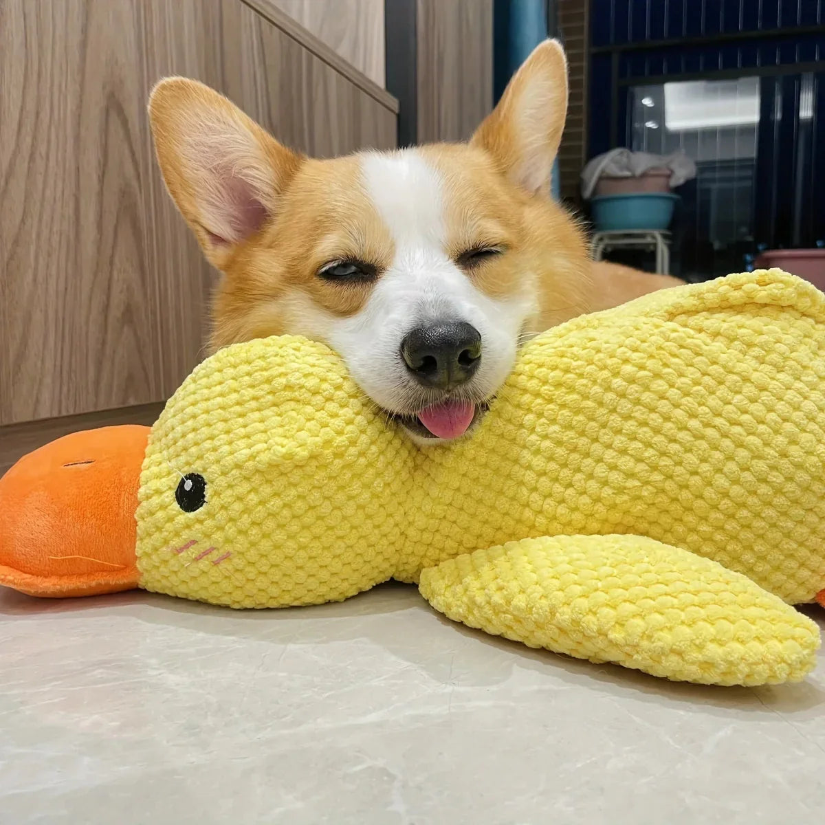 Calming Dog Toy Quacking Sound Chewing Play