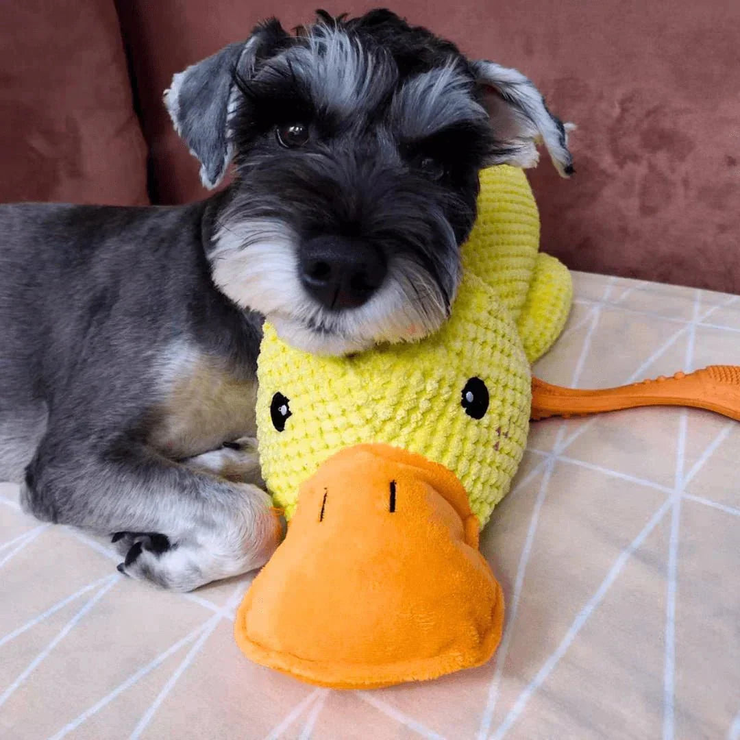 Calming Dog Toy Quacking Sound Chewing Play